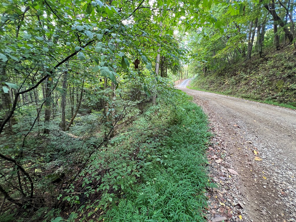 409862 Hayesville Land