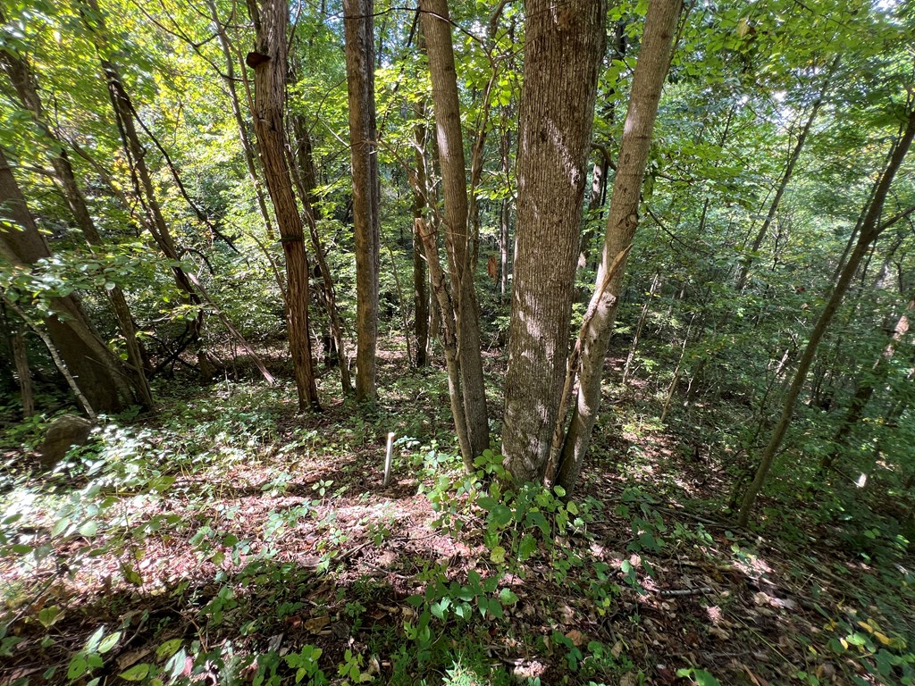 409862 Hayesville Land