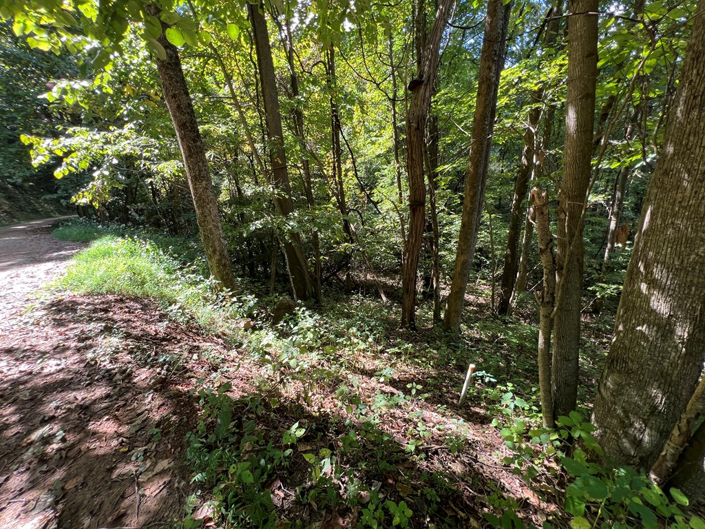 409862 Hayesville Land