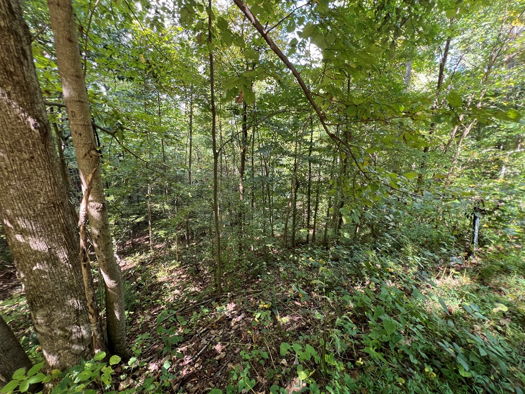 409862 Hayesville Land