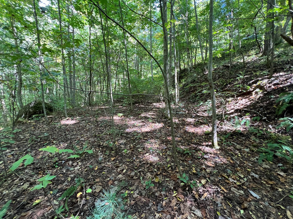 409862 Hayesville Land