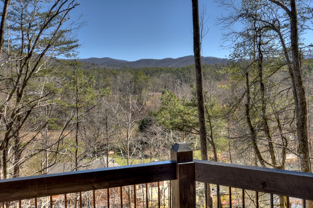 409880 Blue Ridge Residential