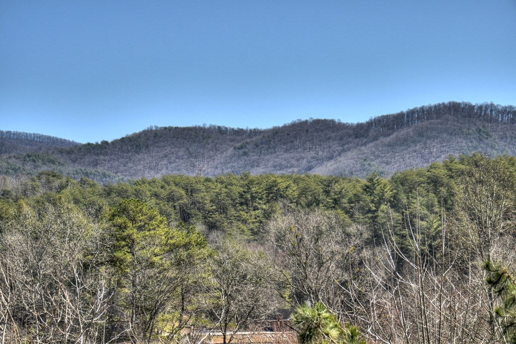 409880 Blue Ridge Residential