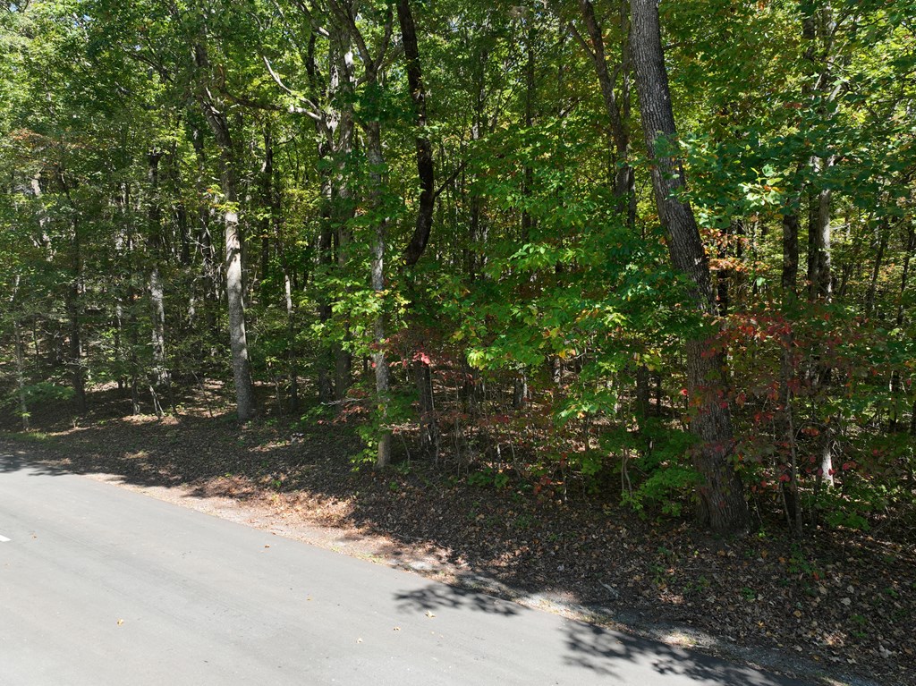 409885 Ellijay Land