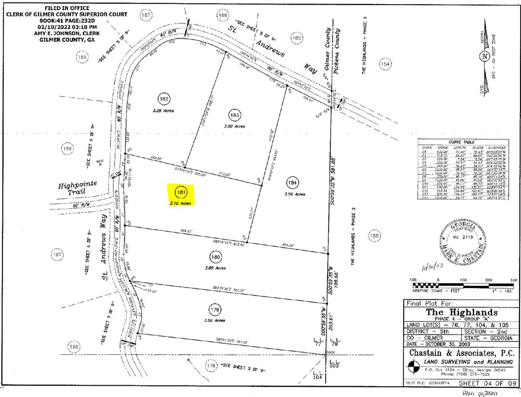 409885 Ellijay Land