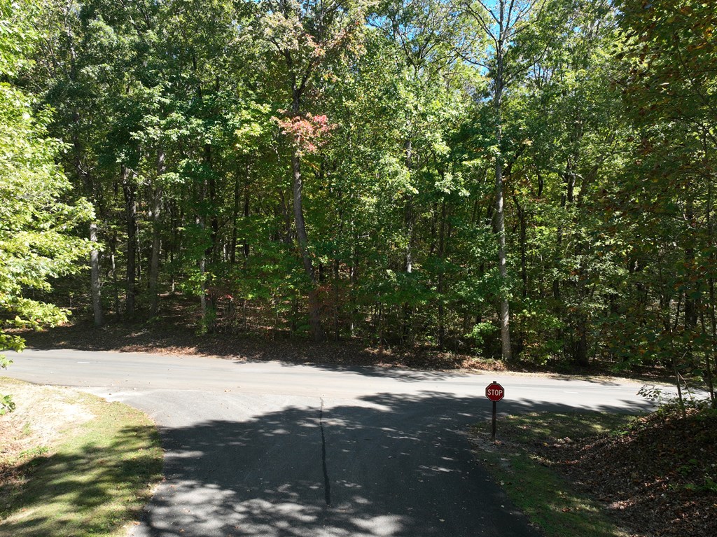 409885 Ellijay Land