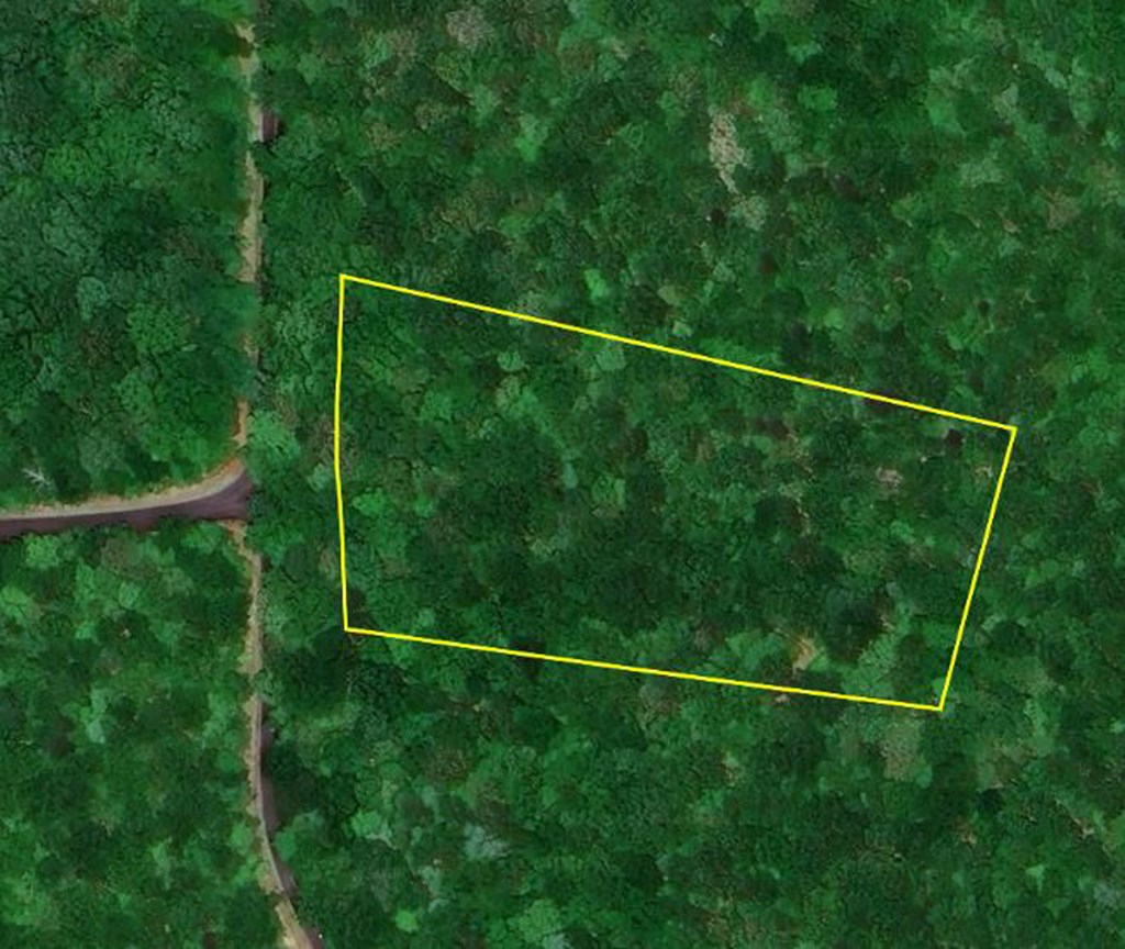 409885 Ellijay Land