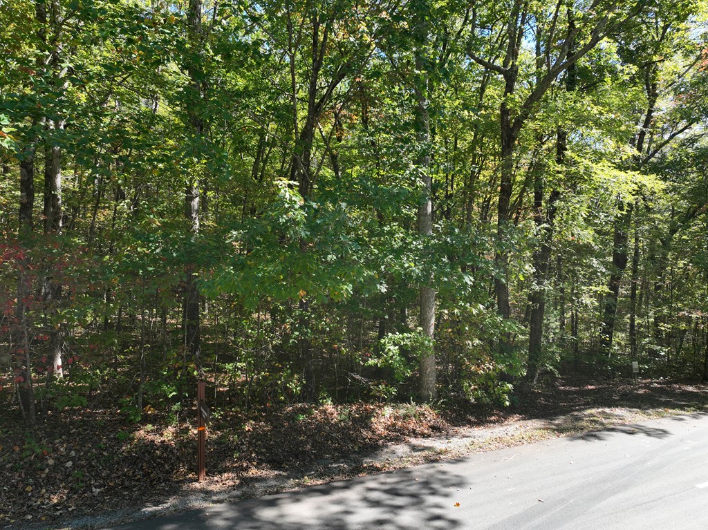 409885 Ellijay Land