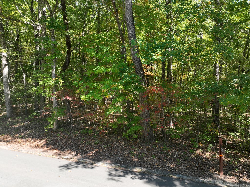 409885 Ellijay Land