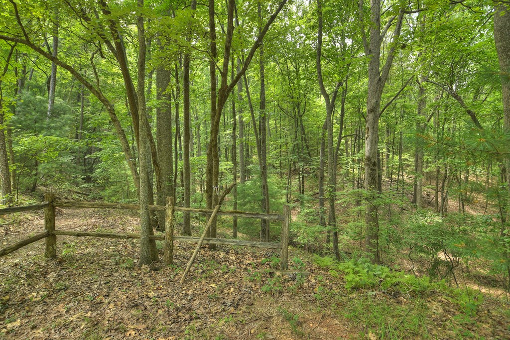 409907 Mineral Bluff Land
