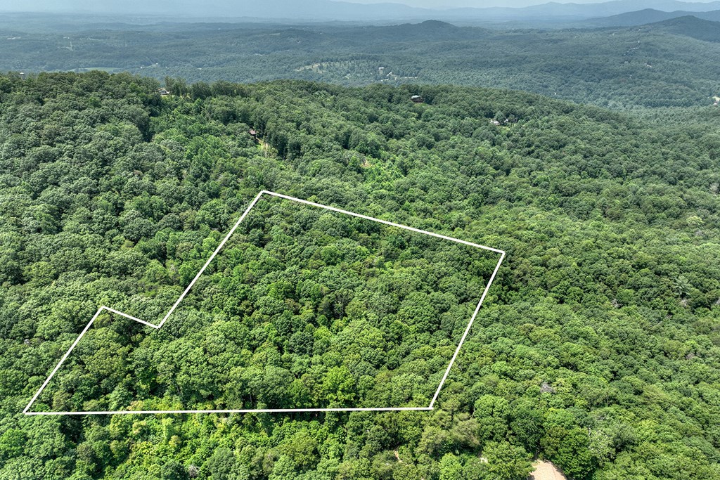 409907 Mineral Bluff Land