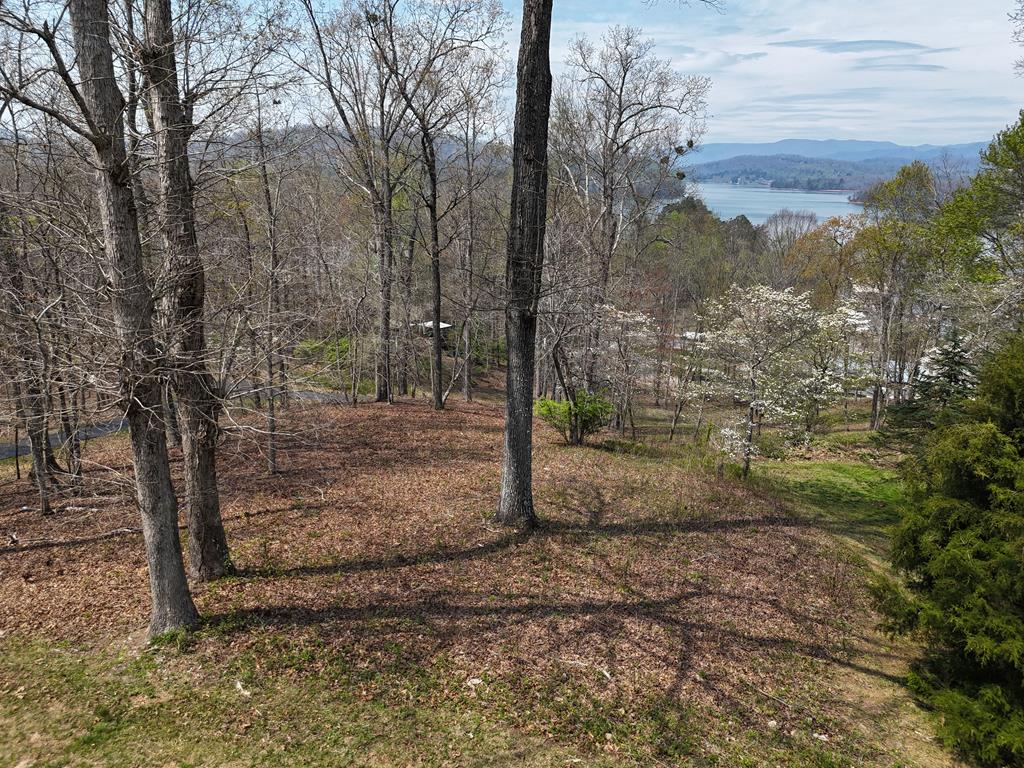 409917 Hayesville 