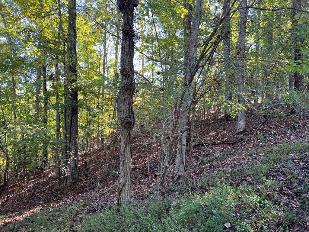 409922  Land