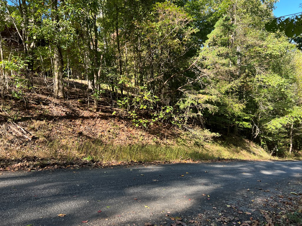 409922 Hayesville Land