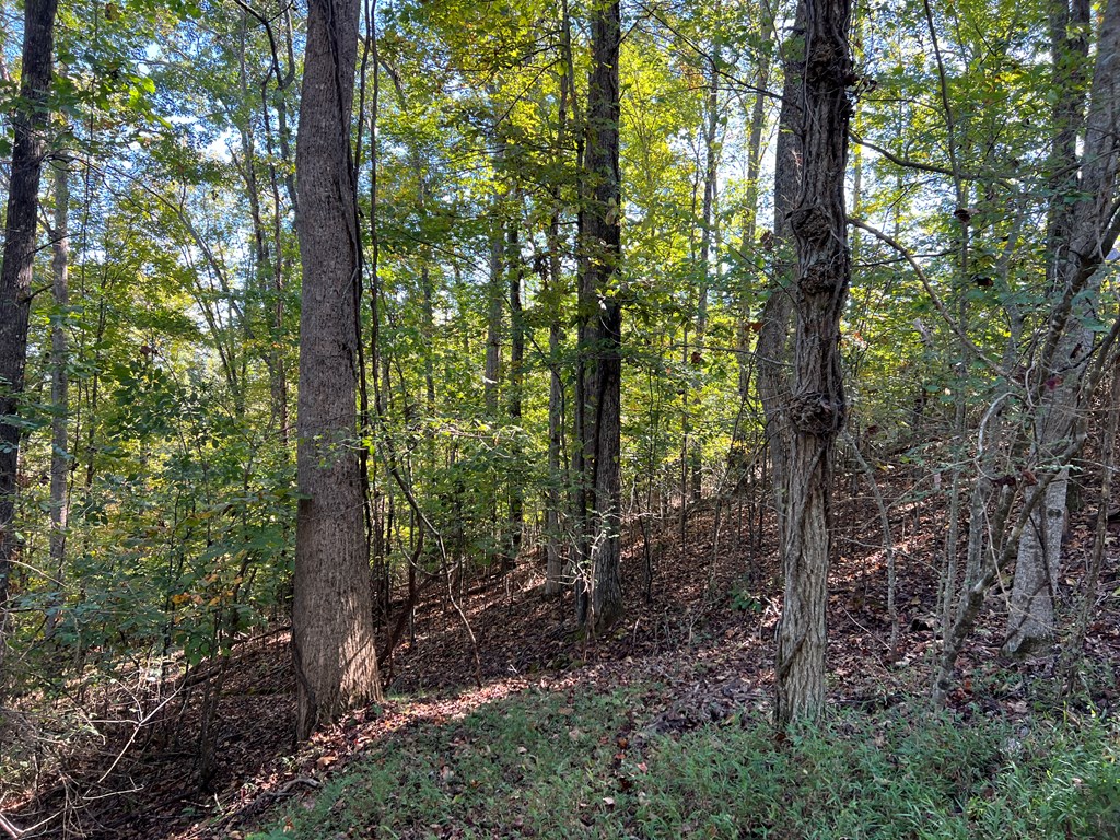 409922 Hayesville Land