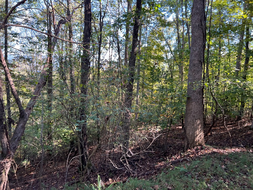 409922 Hayesville Land