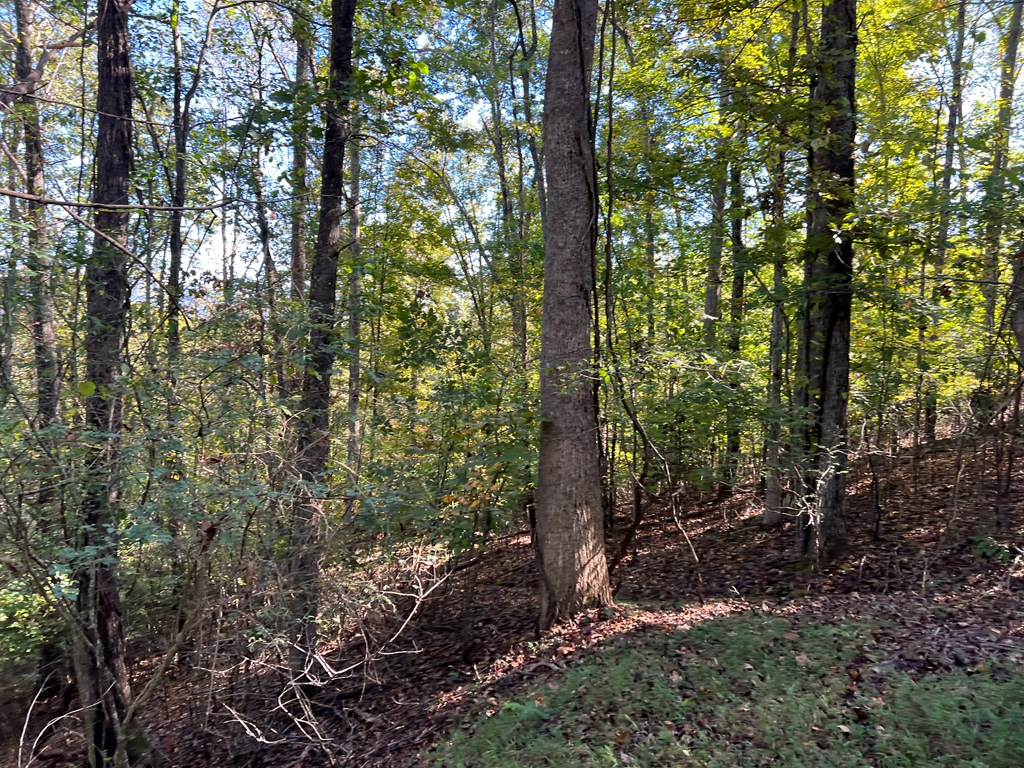409922 Hayesville Land