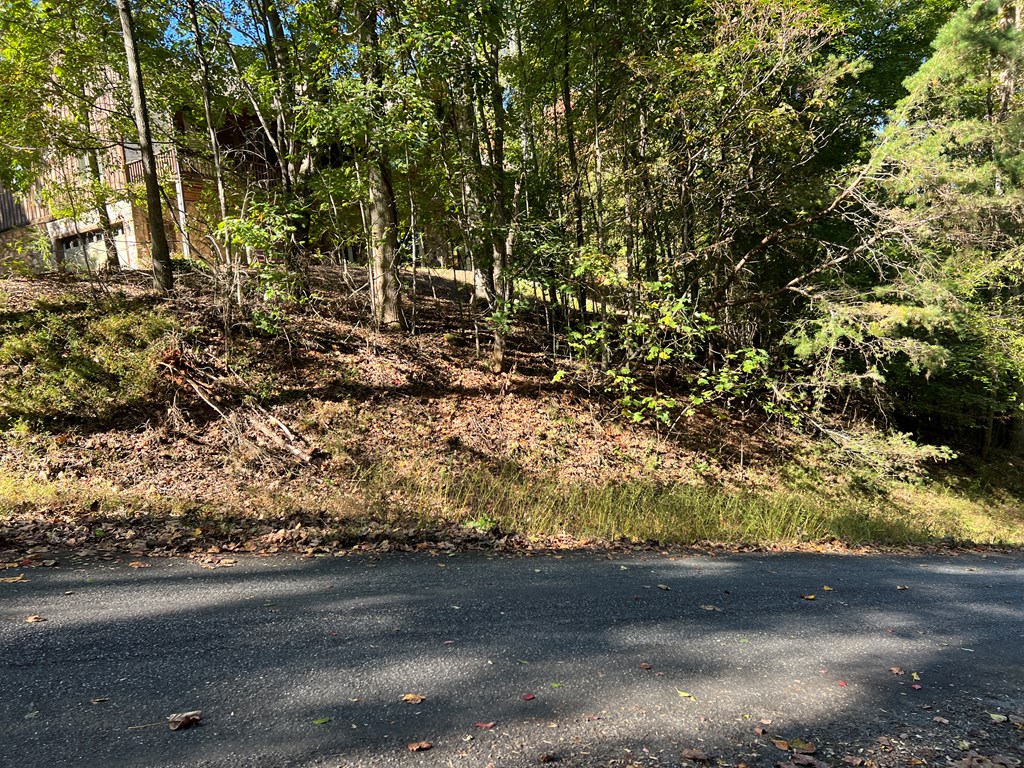 409922 Hayesville Land
