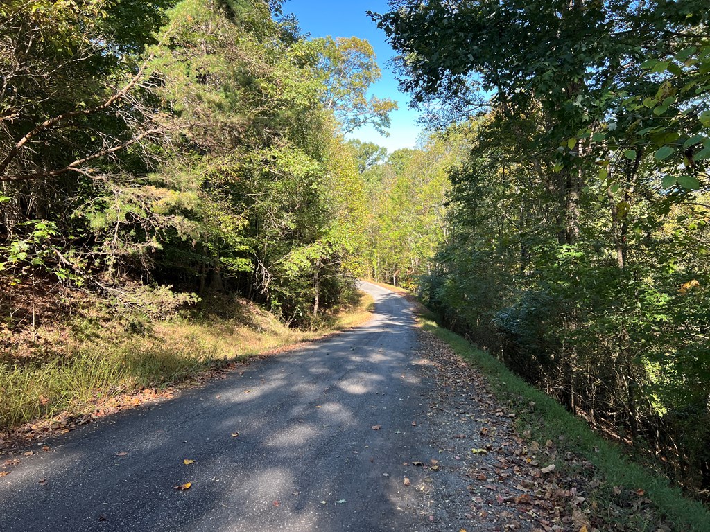 409922 Hayesville Land