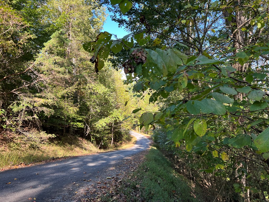 409922 Hayesville Land