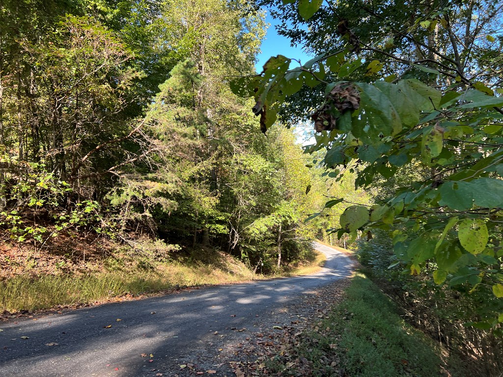409922 Hayesville Land