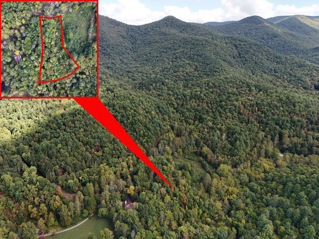 409923 Hiawassee Land