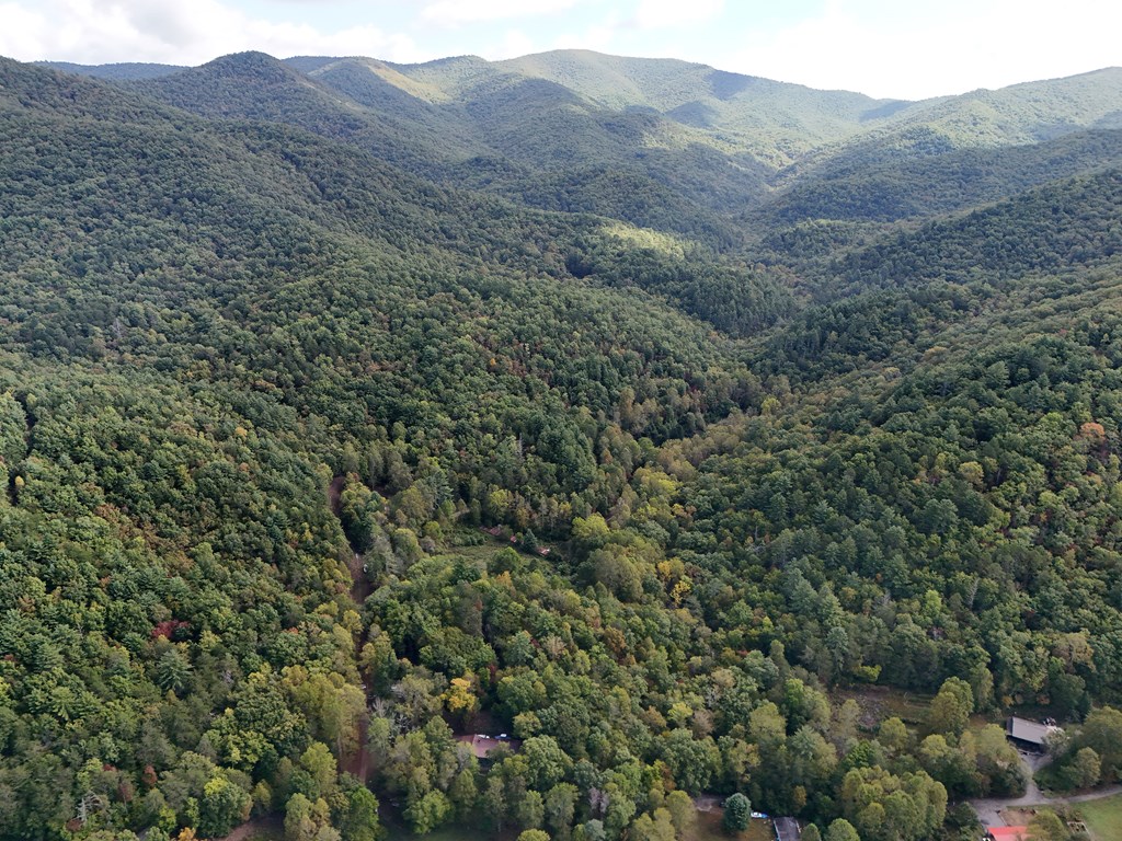 409923 Hiawassee Land