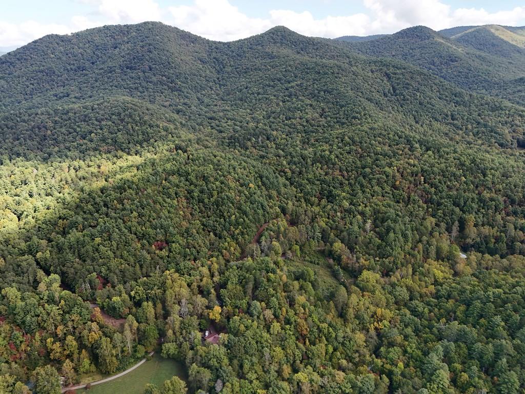 409923 Hiawassee Land