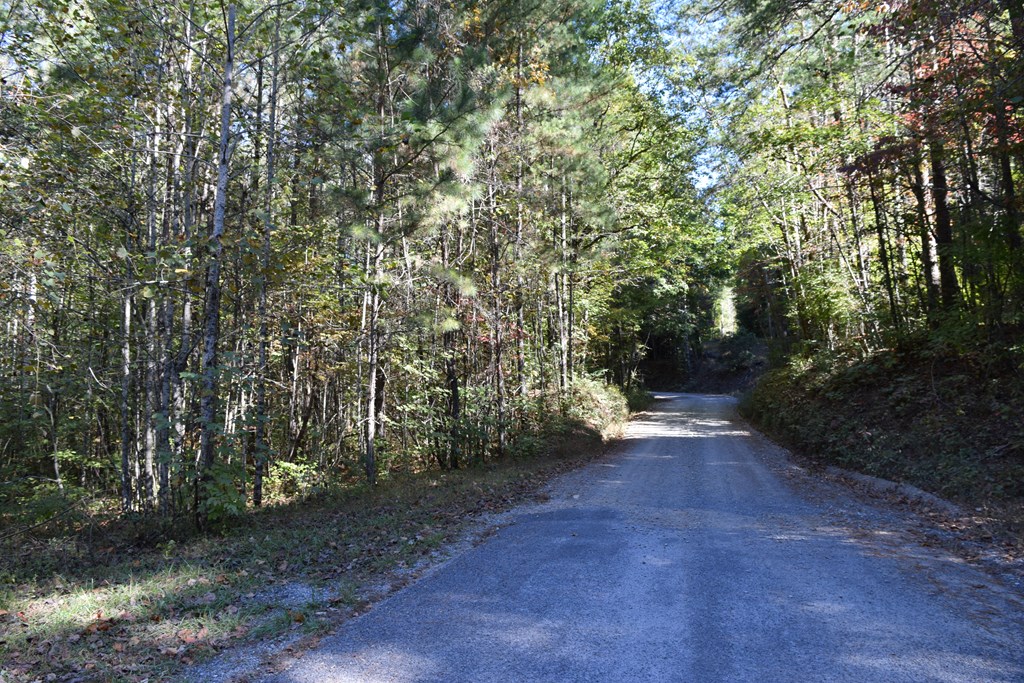 409928 Ellijay Land