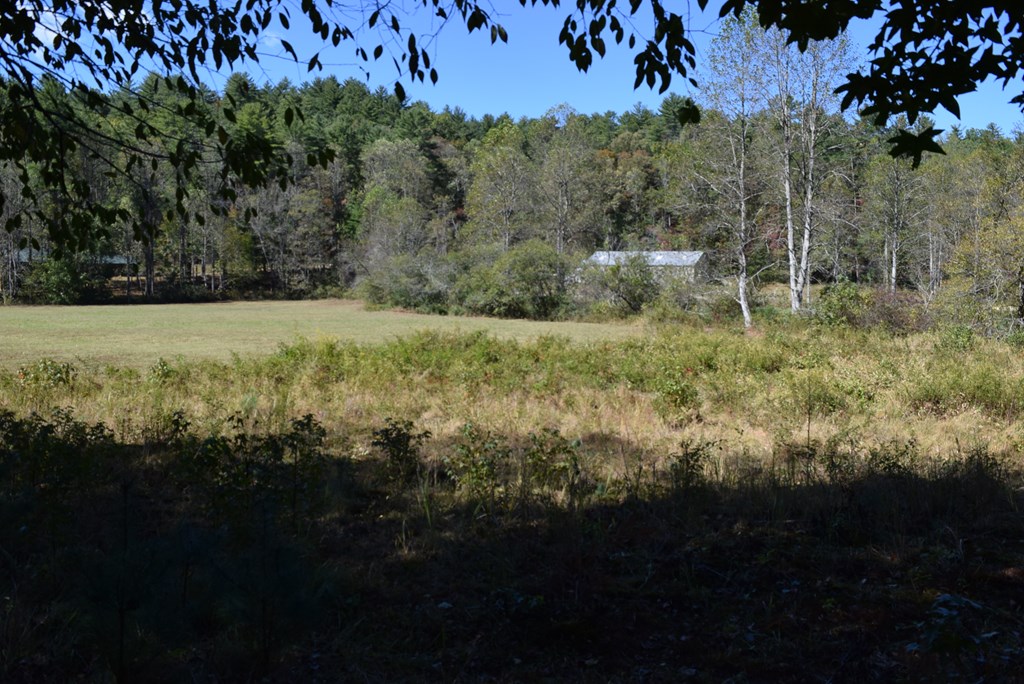 409928 Ellijay Land