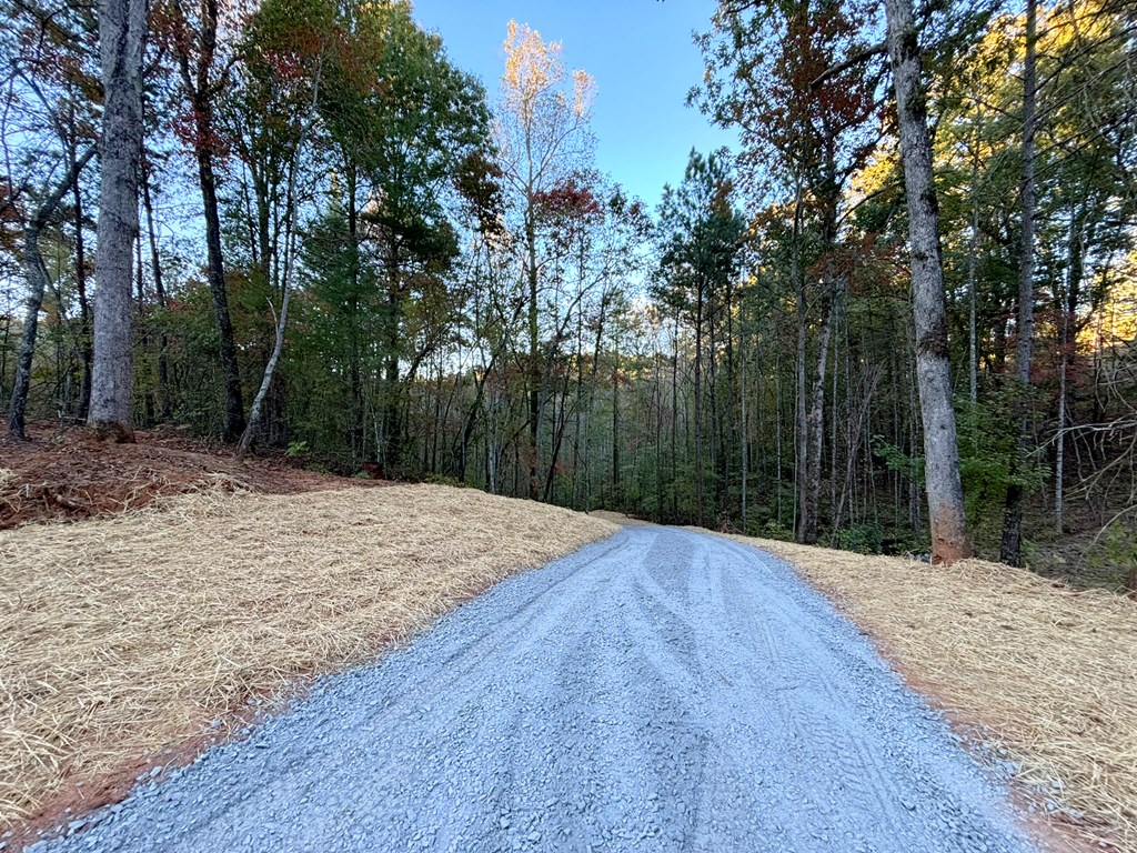 409953 Ellijay Land