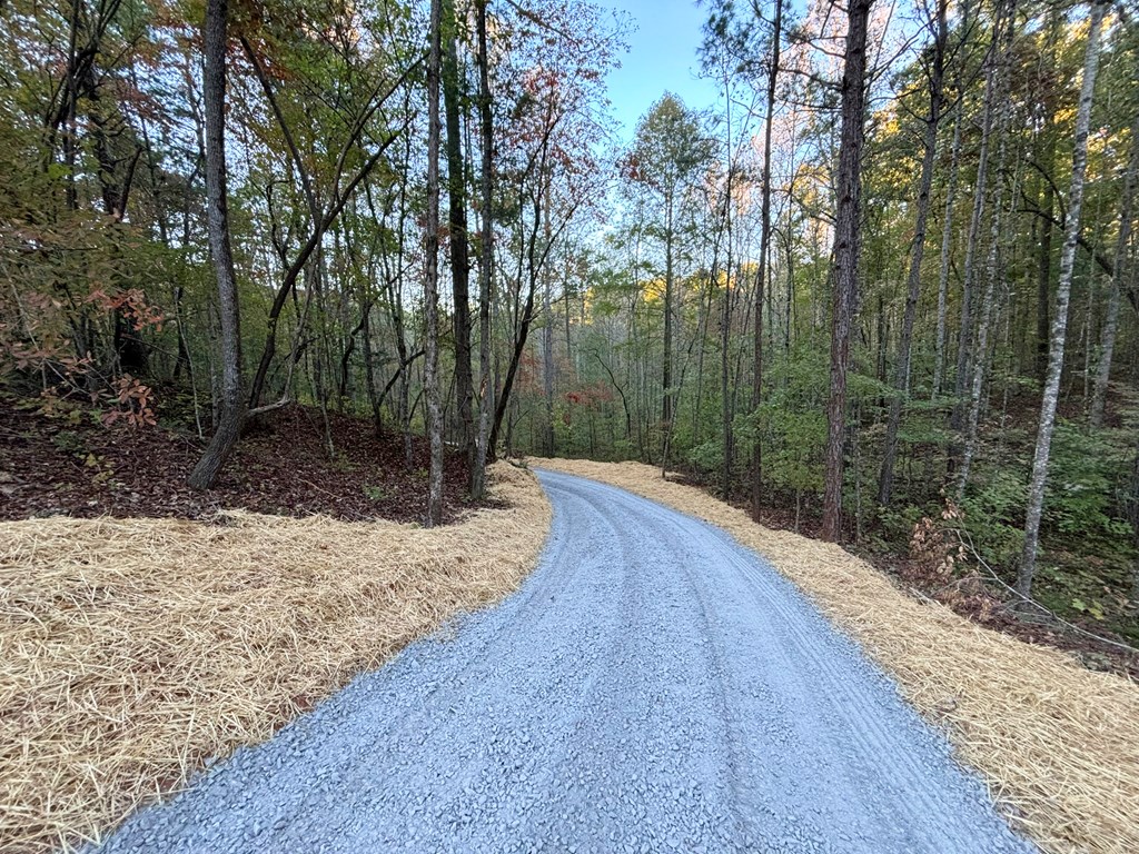 409953 Ellijay Land