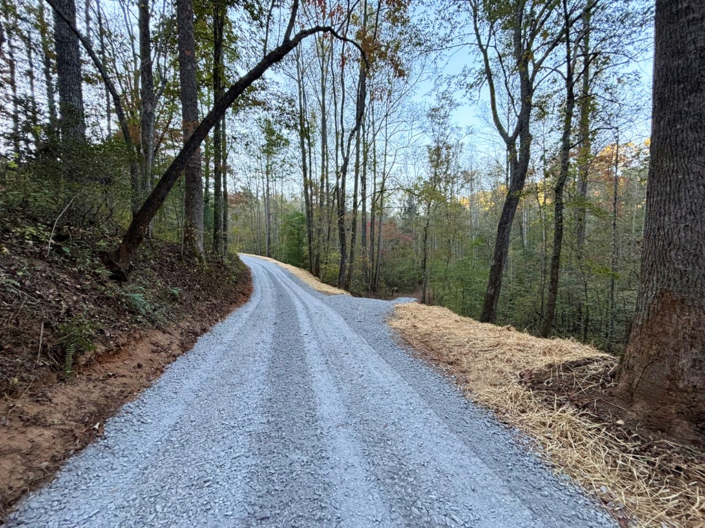 409953 Ellijay Land