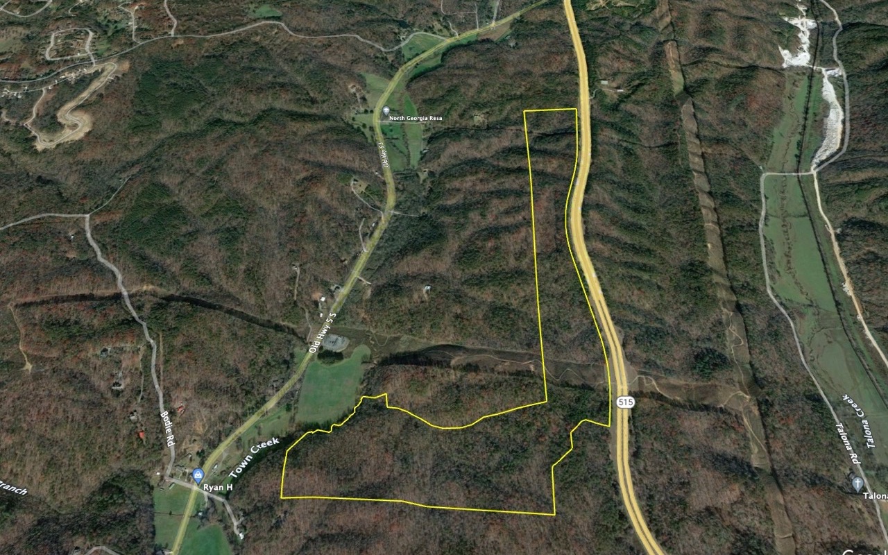 409955 Ellijay Land