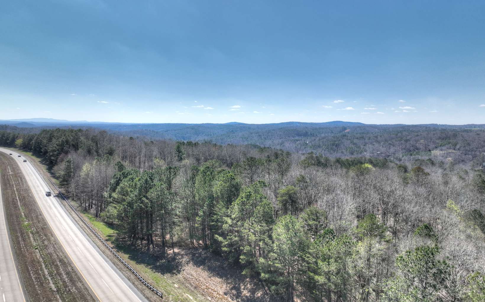 409955 Ellijay Land