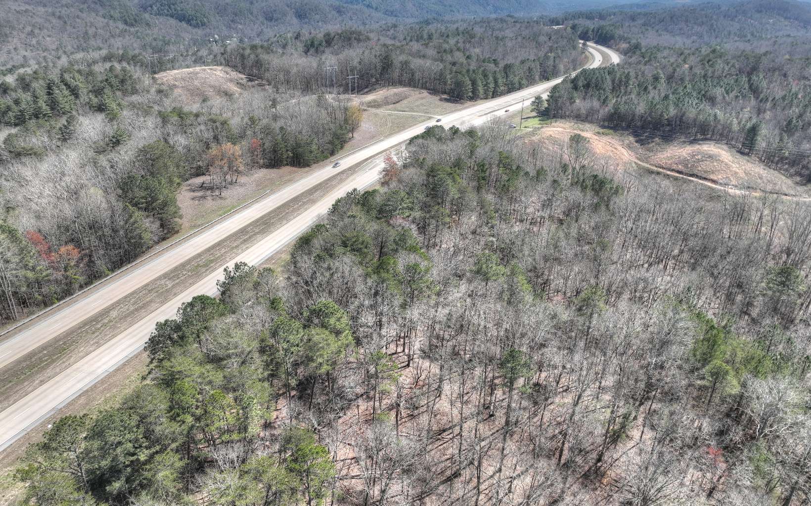 409955 Ellijay Land