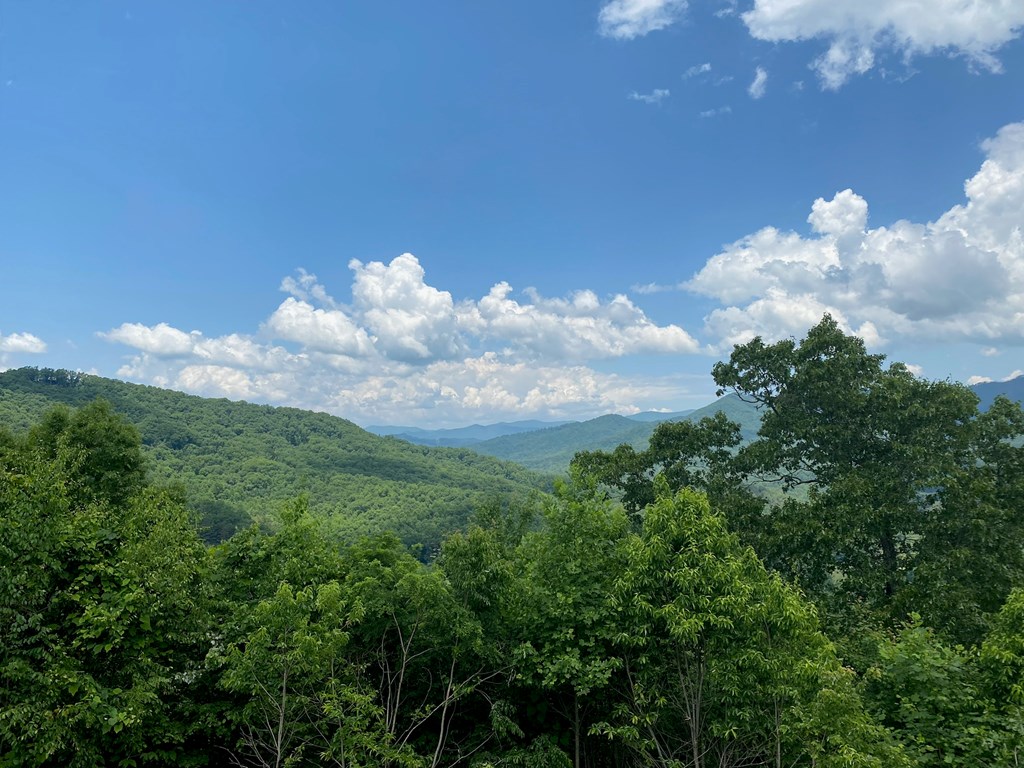 409963 Hayesville Land