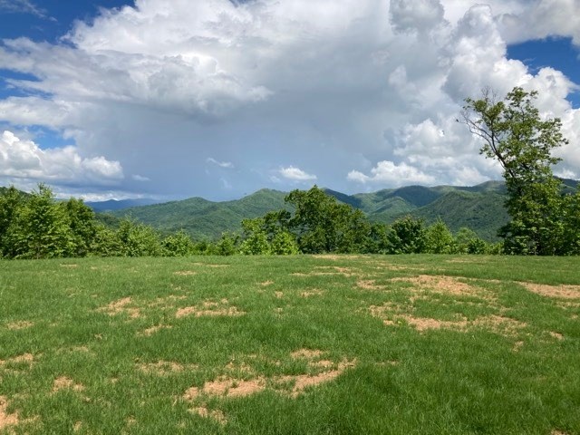 409963 Hayesville Land