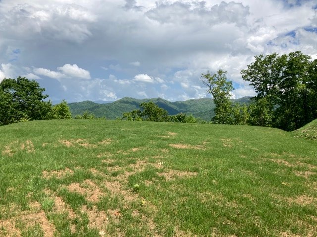 409963 Hayesville Land