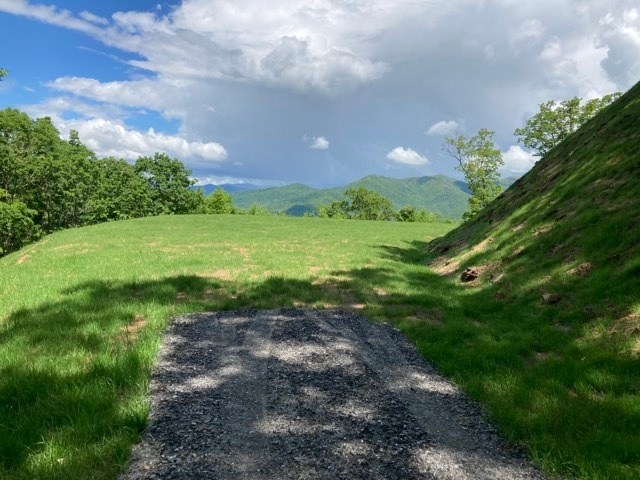 409963 Hayesville Land