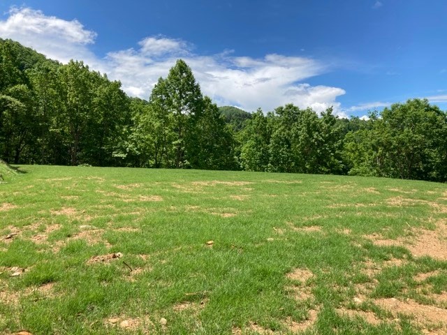 409963 Hayesville Land