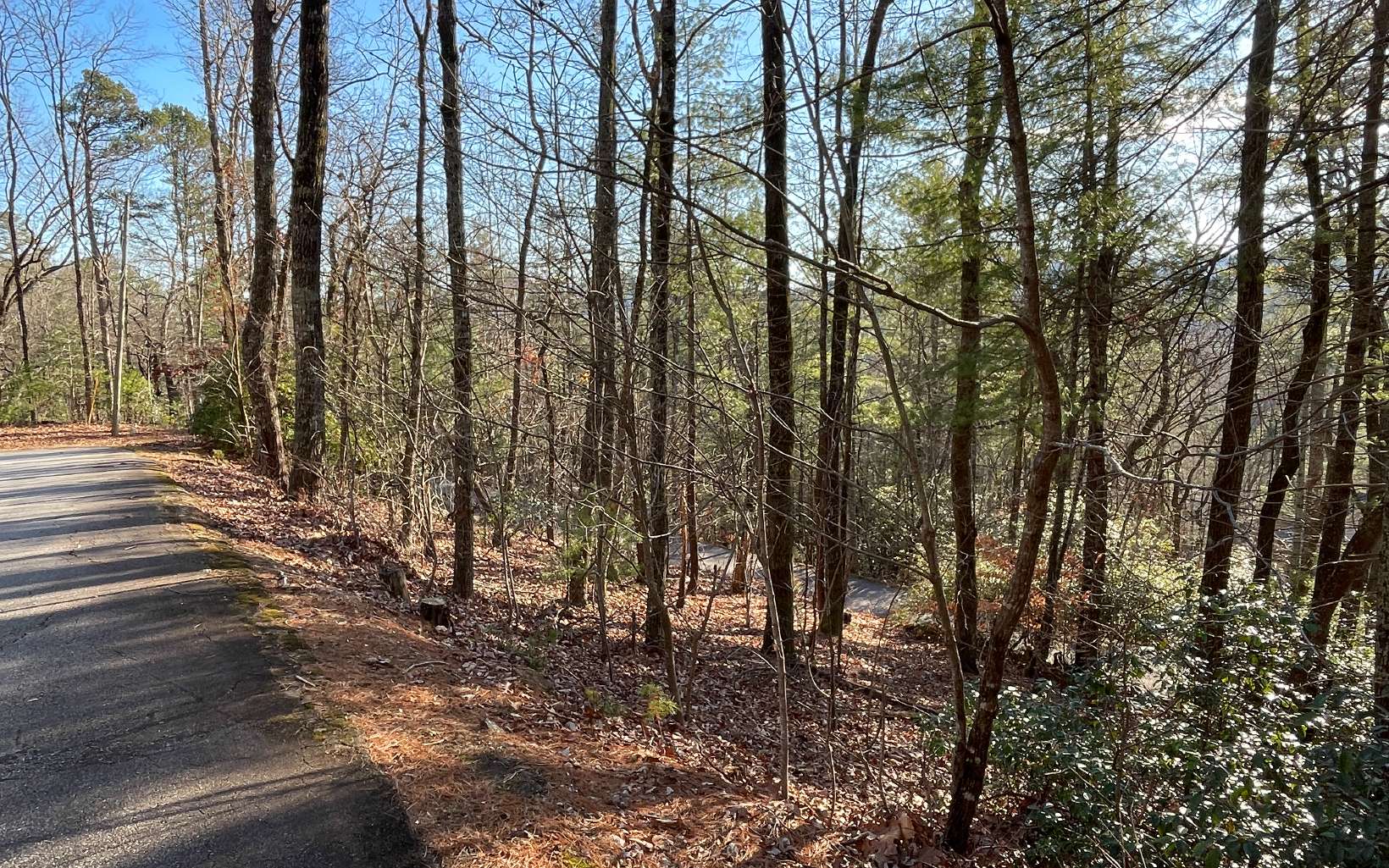 410029 Clayton Land