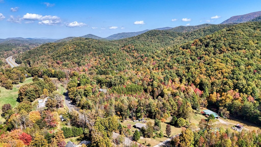 410124 Ellijay Land