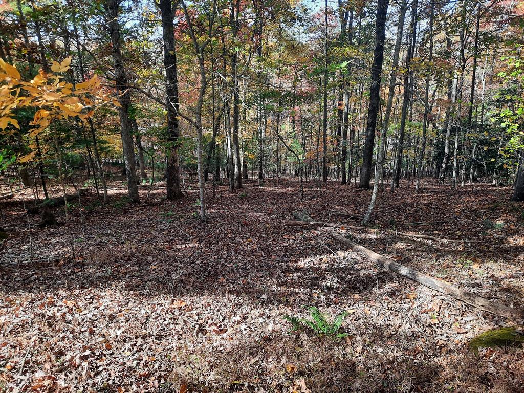 410144  Land