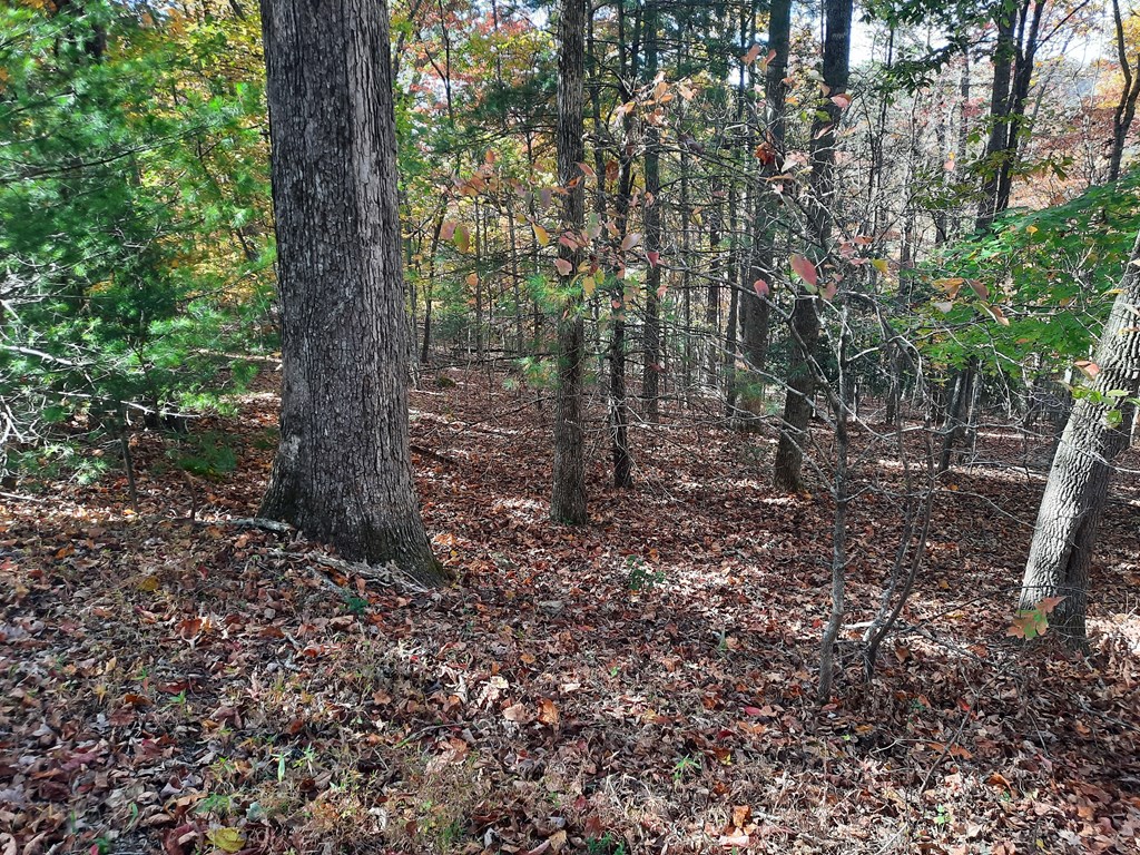 410144 Blairsville Land