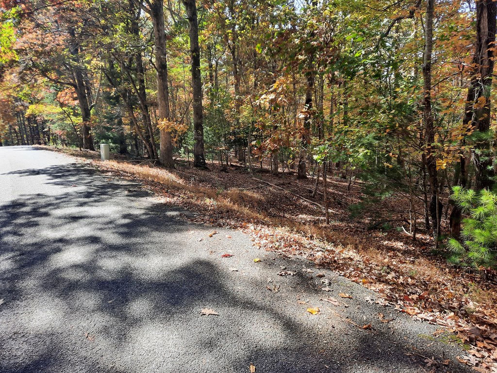 410144 Blairsville Land