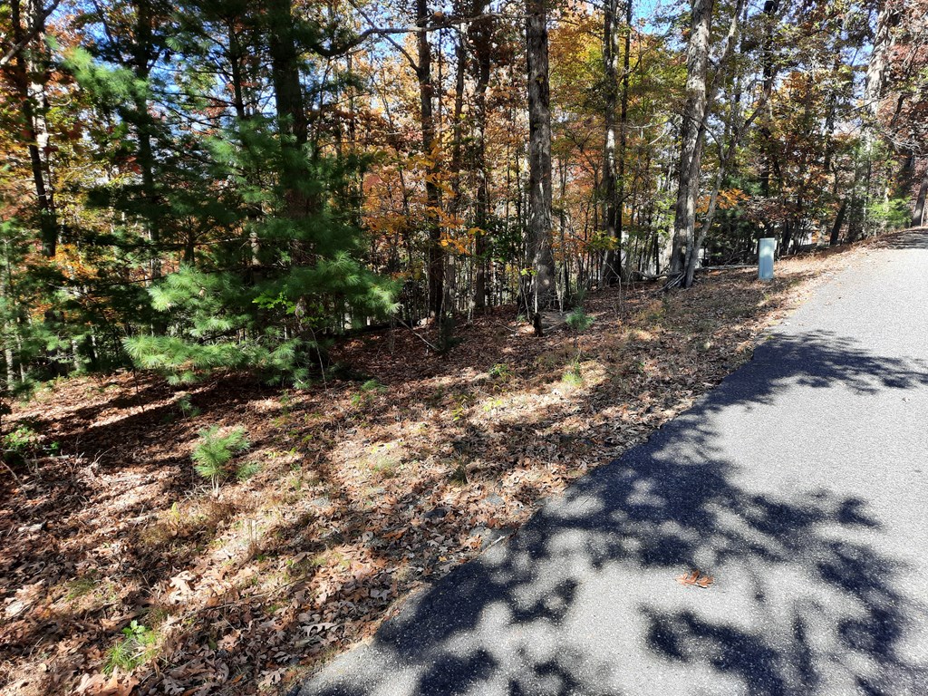 410144 Blairsville Land