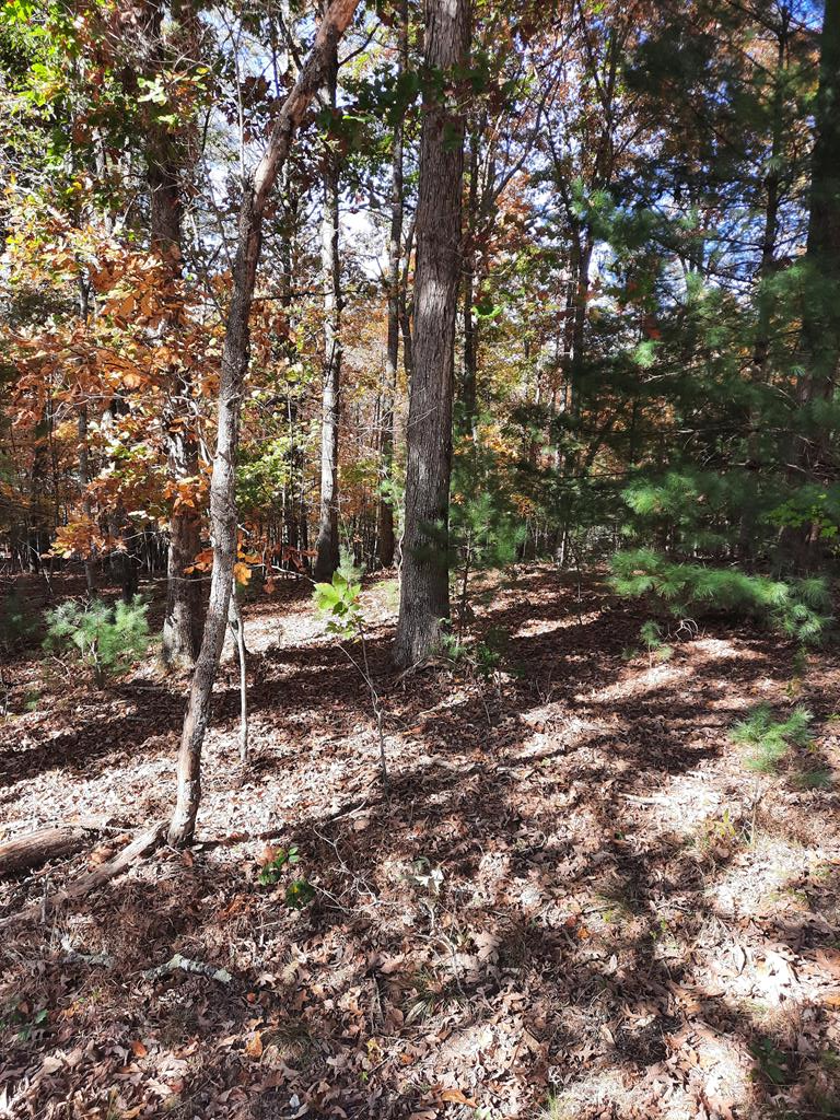 410144 Blairsville Land