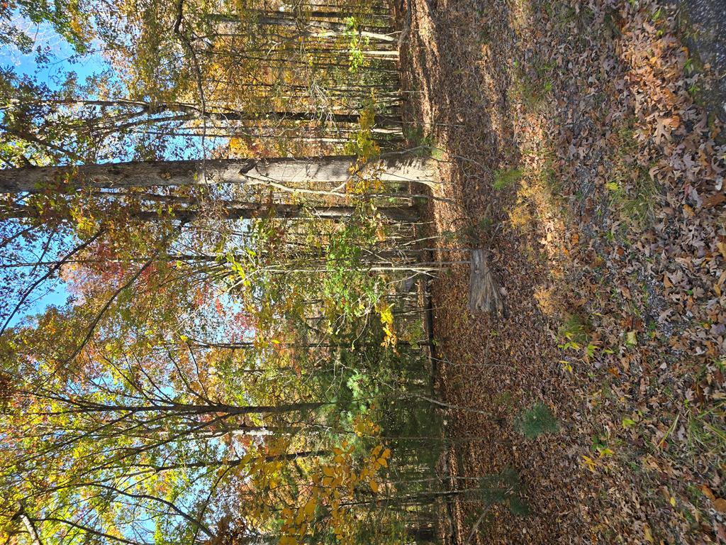410144 Blairsville Land