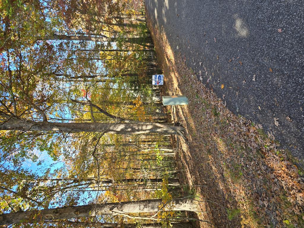410144 Blairsville Land